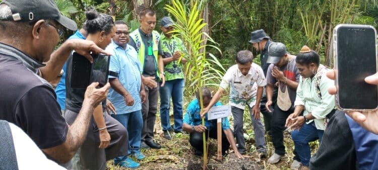 Sanggar Seni Robongholo tanam sagu peringati banjir bandang 2019 1 Sanggar Seni Robongholo