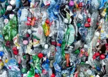 Sekitar 6.000 ton – atau hampir seperlima sampah CNMI – adalah sampah plastik.- Jubi/rnz.com/ https://www.pmcsa.ac.nz