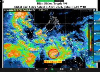 Bibit Siklon