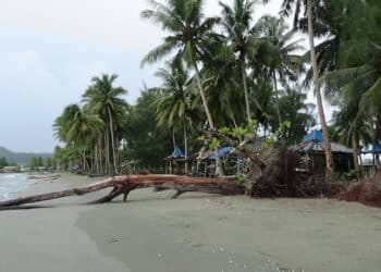 Pantai Holtekamp