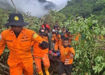 Basarnas Manokwari melakukan evakuasi korban selamat di lokasi longsor-Jubi/dokumentasi Basarnas Manokwari