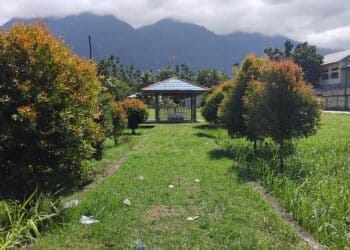 Makam Theys