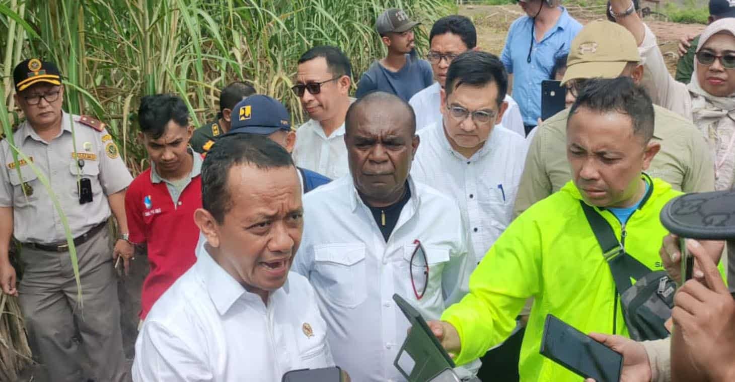 Proyek Strategis Nasional perkebunan tebu 2 juta hektare dinilai akan gagal 4 tebu