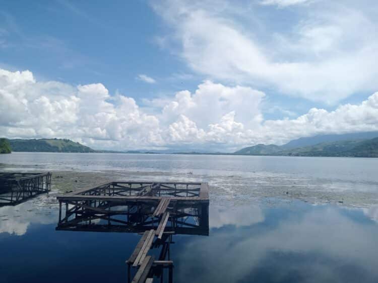 Yang datang lalu menyingkirkan, ironi Ikan-ikan "pendatang" di Tanah Papua 1 Ikan