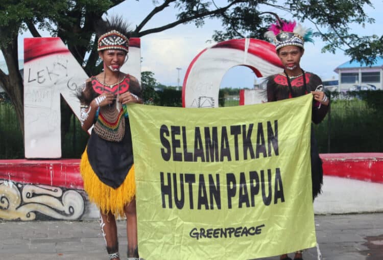 Melawan perampasan tanah adat di Papua 1 suku awyu