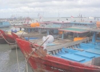 Meraukre