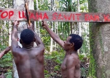 Hutan Adat