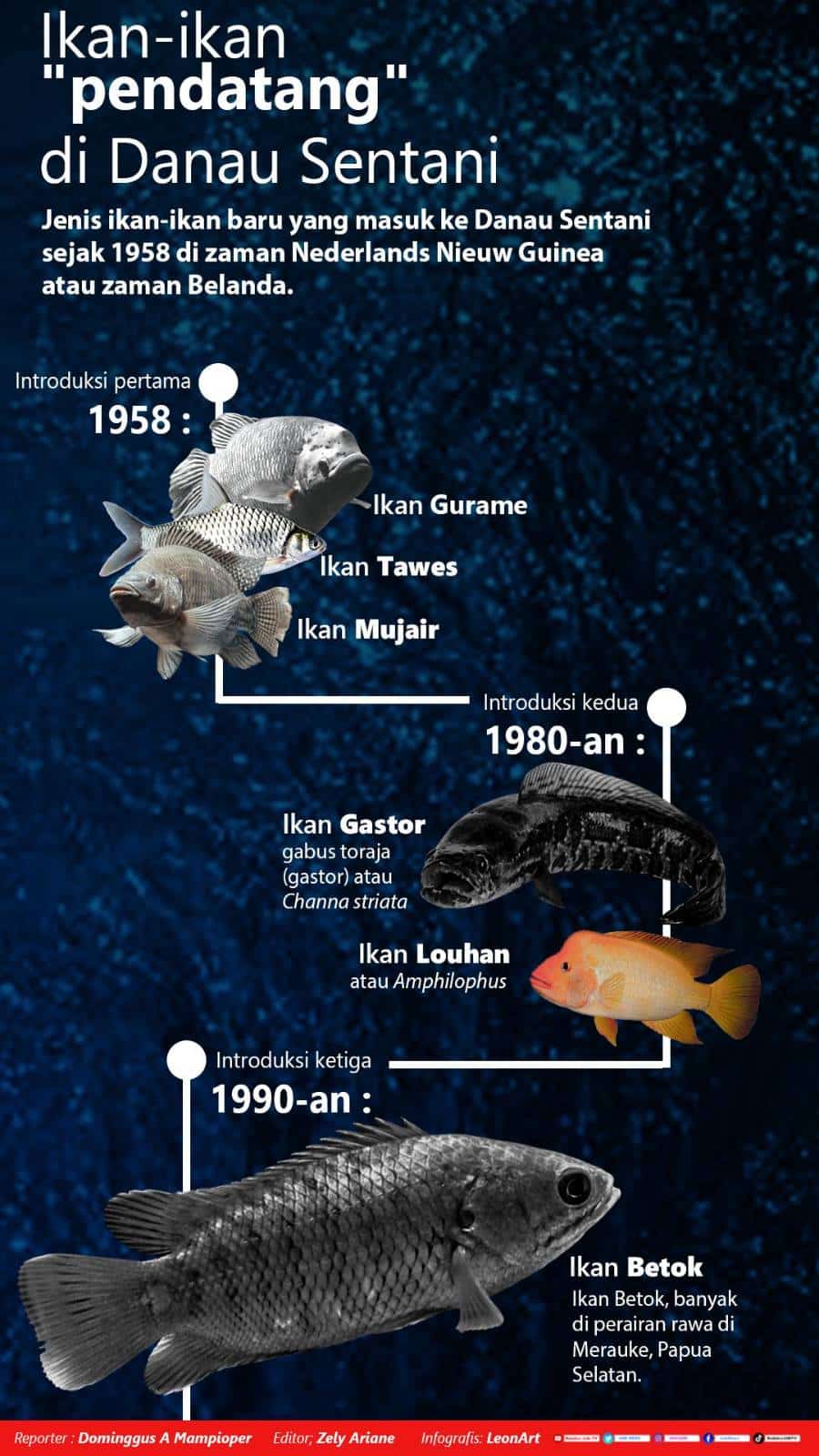 Yang datang lalu menyingkirkan, ironi Ikan-ikan "pendatang" di Tanah Papua 5 signal 2024 06 06 18 41 15 422