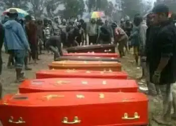 Suku