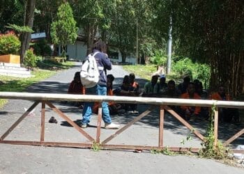 Mahasiswa FISIP