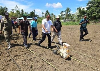 Jagung