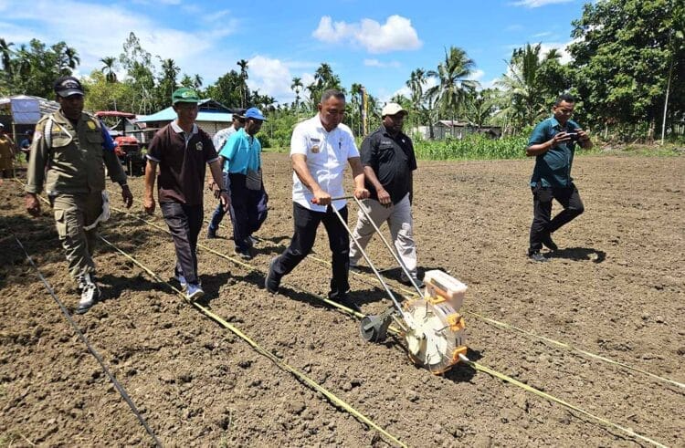 Jagung