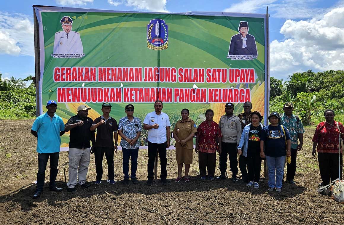 Jagung