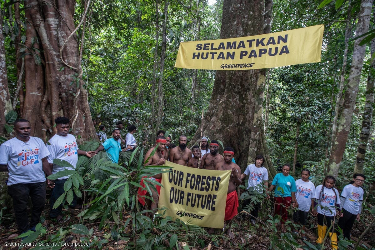 Hutan Papua Suku Malamoi