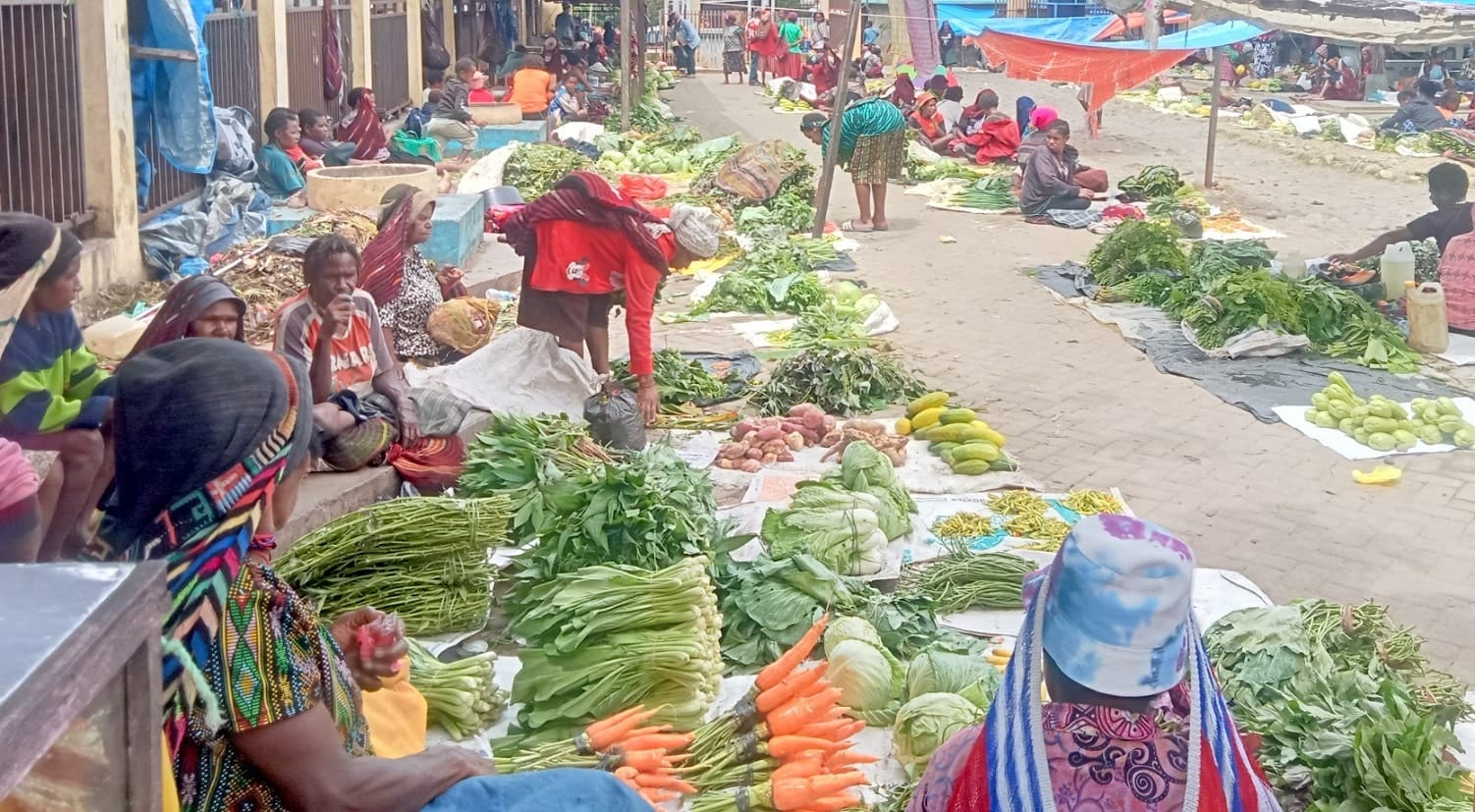 Pertumbuhan IPM Papua Pegunungan tertinggi di Indonesia 4 Pertumbuhan