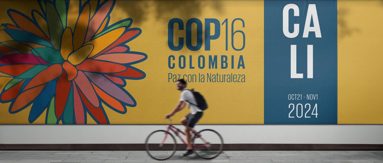 COP 16 tentang keanekaragaman hayati, status masyarakat adat diperkuat 1 COP 16