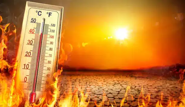 Bicara perubahan iklim, 80 kepala negara gelar pertemuan di Azerbaijan 3 Perubahan iklim