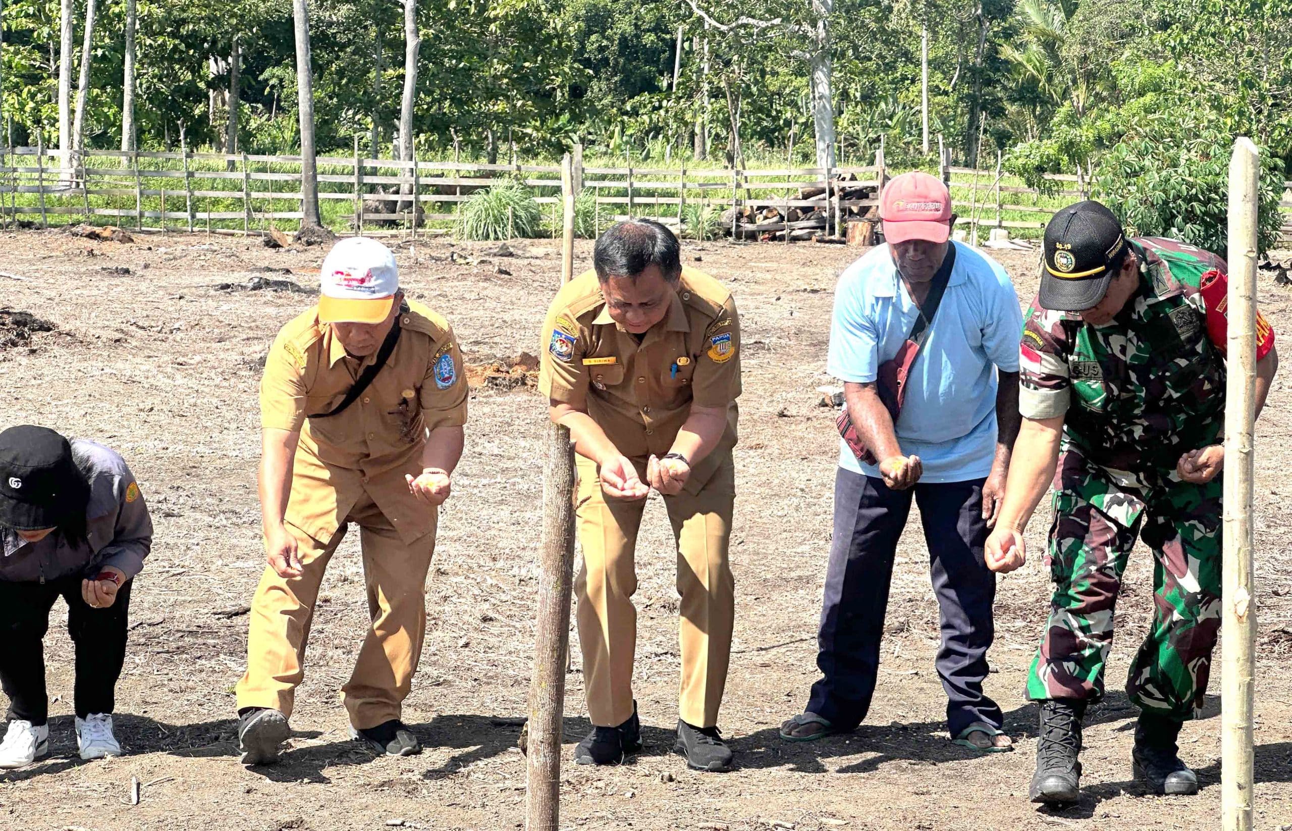 Panen jagung, kelompok tani butuh alat mesin pertanian dan penyuluh 4 jagung