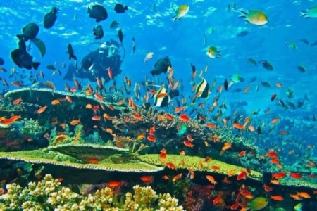 Museum bawah laut