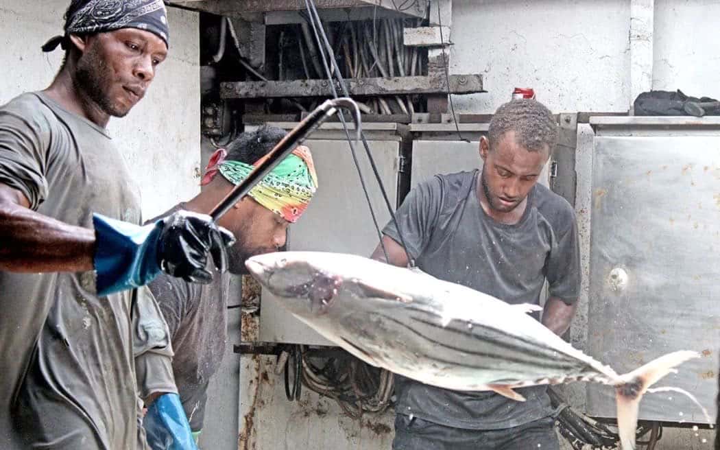 Tuna
