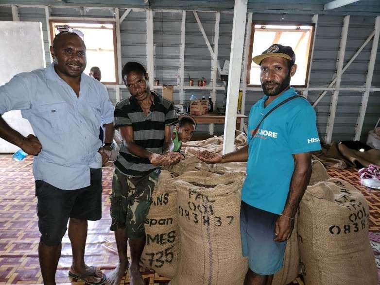 Kingstan Kamuri, bangkit bersama perkebunan Kakao tinggalan kolonial Australia 2 petani kakao lokal png