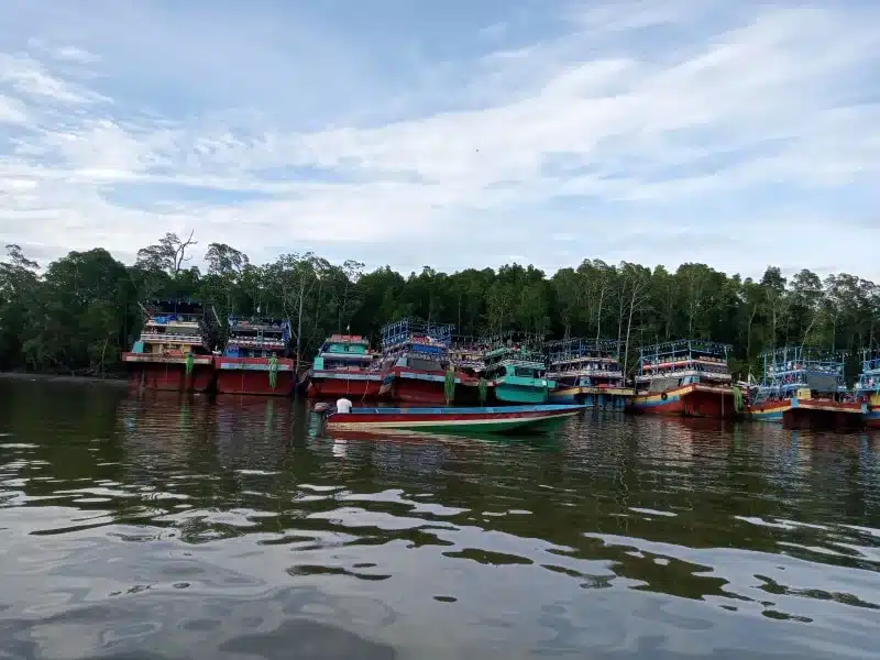 NElayan