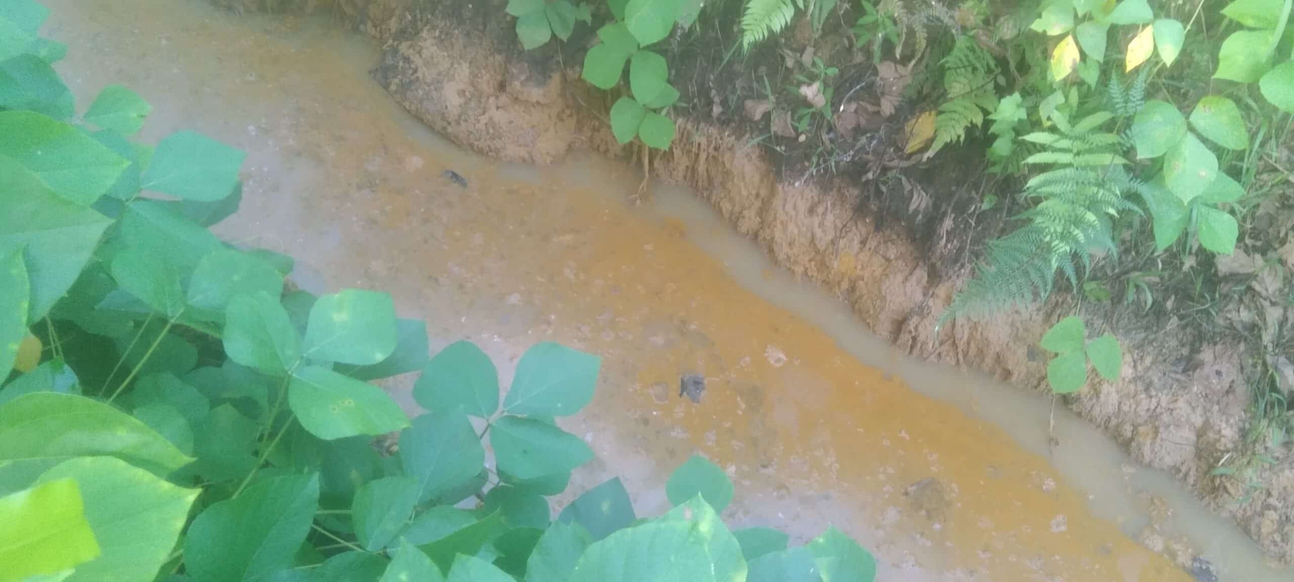 Sungai Klasof