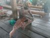 Generasi muda Asmat