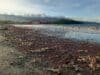 pantai