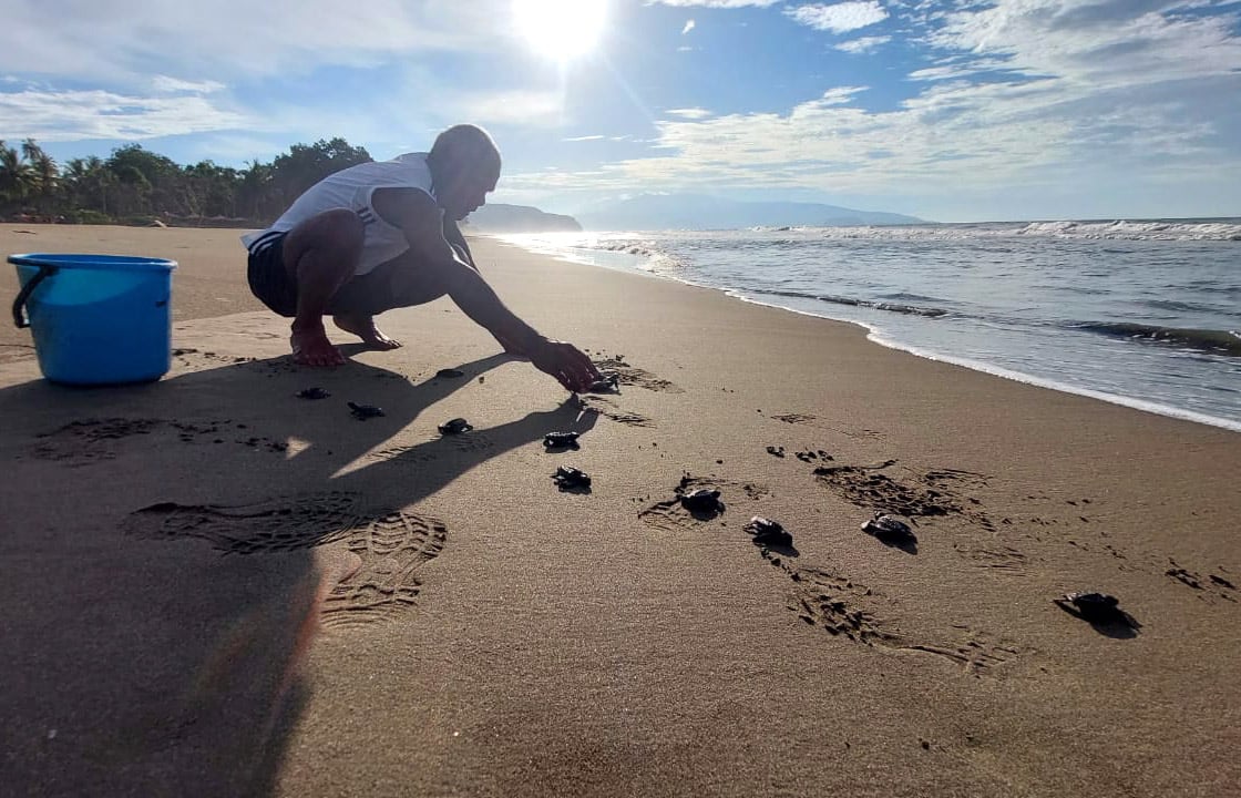 Dedikasi Abner Pae menyelamatkan penyu di Pantai Skouw Yambe 4 Abner Pae Penyu