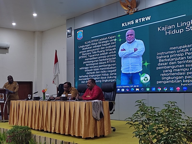 Papua Barat Daya