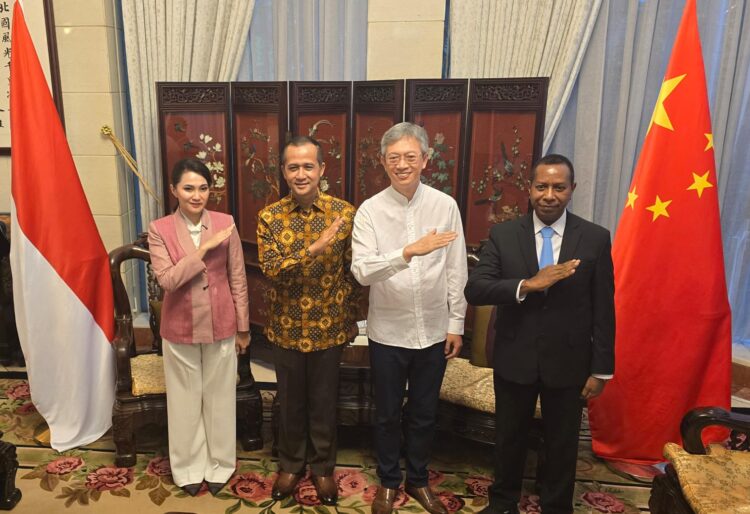 Papua Selatan