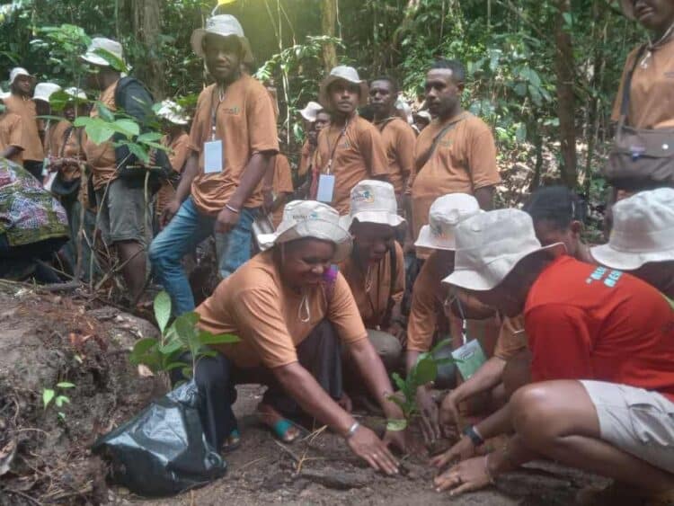 Youth Forest Camp 2025: Menanam Kopi, Menanam Harapan untuk Hutan Papua 1 kopi