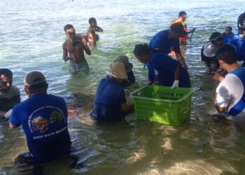 PKB GKI Eden, Teladan Gereja dalam Pelestarian Lingkungan Laut 3 PKB GKI Eden, Teladan Gereja dalam Pelestarian Lingkungan Laut