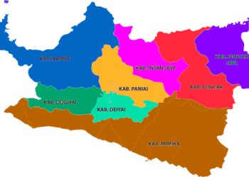 Papua Tengah