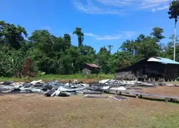 Papua Tengah