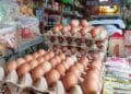 telur