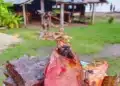 Papua Nugini