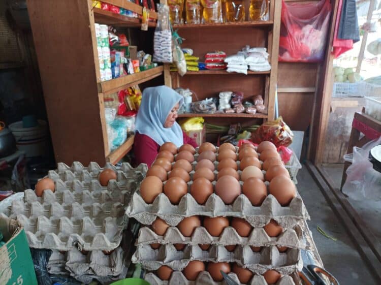 Telur