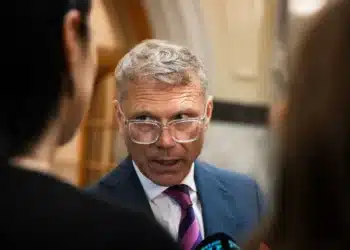 Statistik suram untuk Pasifika di Selandia Baru 8 selandia baru