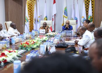 Gubernur Papua Tengah