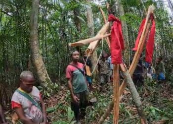 Masyarakat Adat Suku Afsya tanam patok di Hutan Bariat, tolak PT ASI 6 Suku Afsya