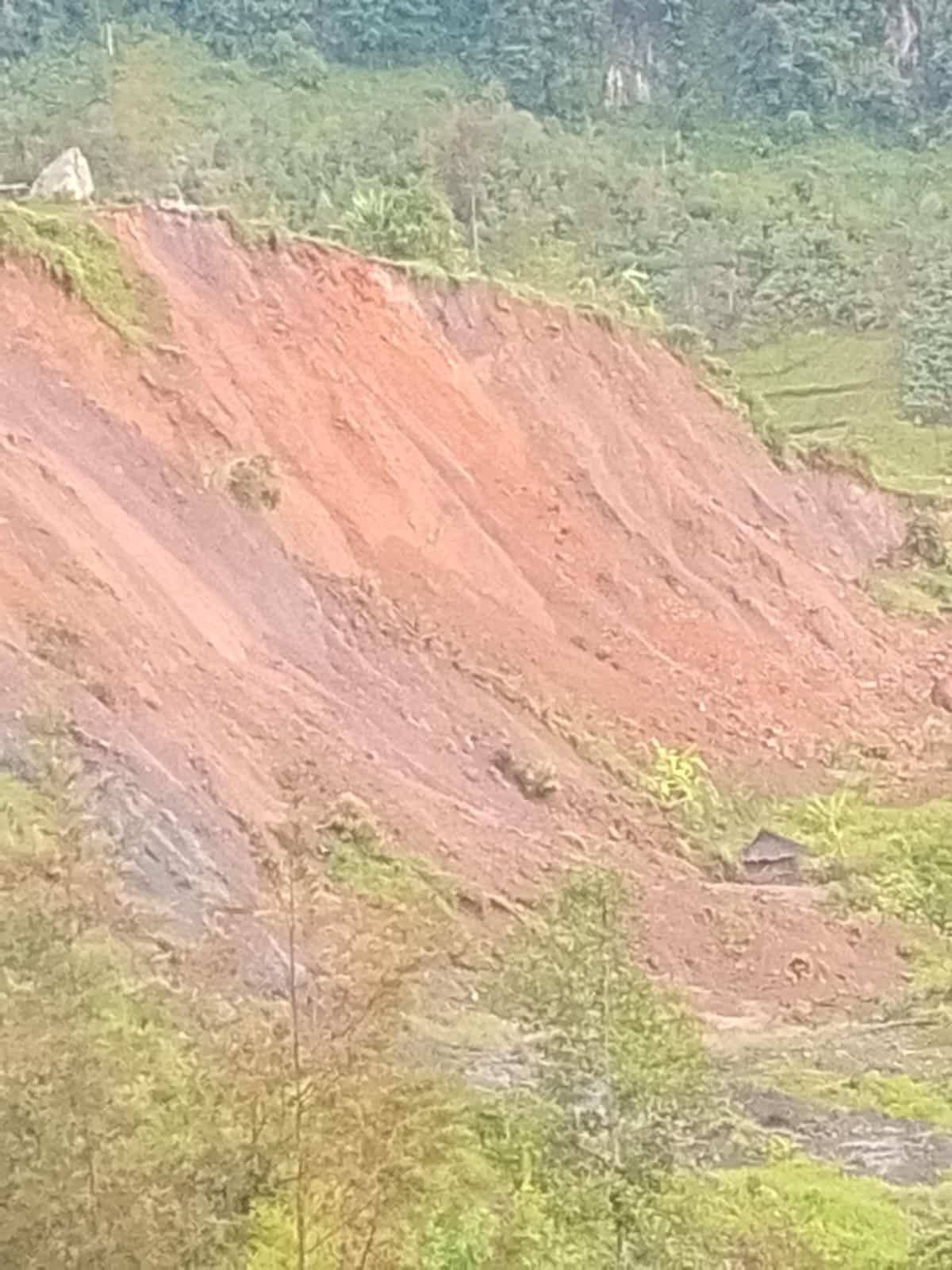 Distrik Pronggoli