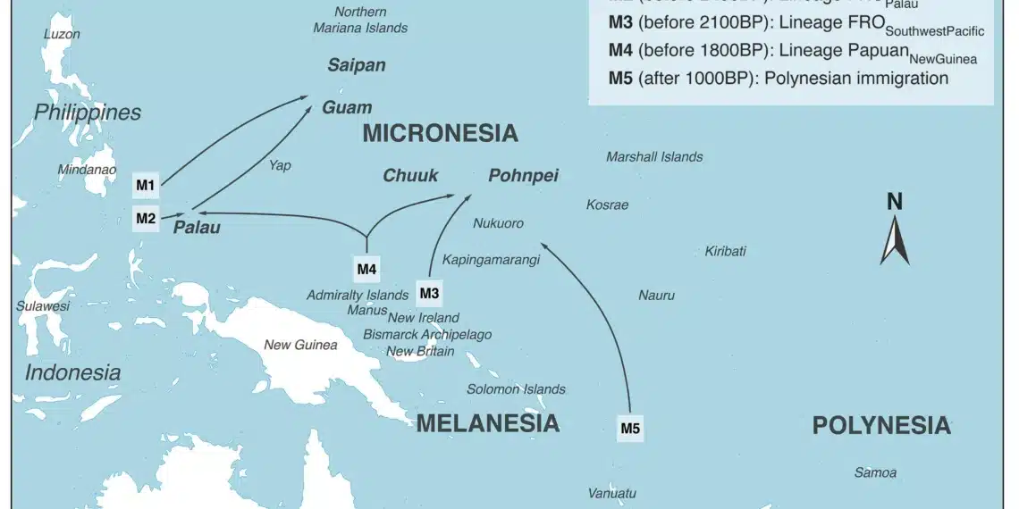 Harvard-led study traces Palau ancestry back nearly 3,000 years 1 Palau