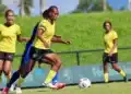 sepak bola