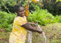 Bougainville