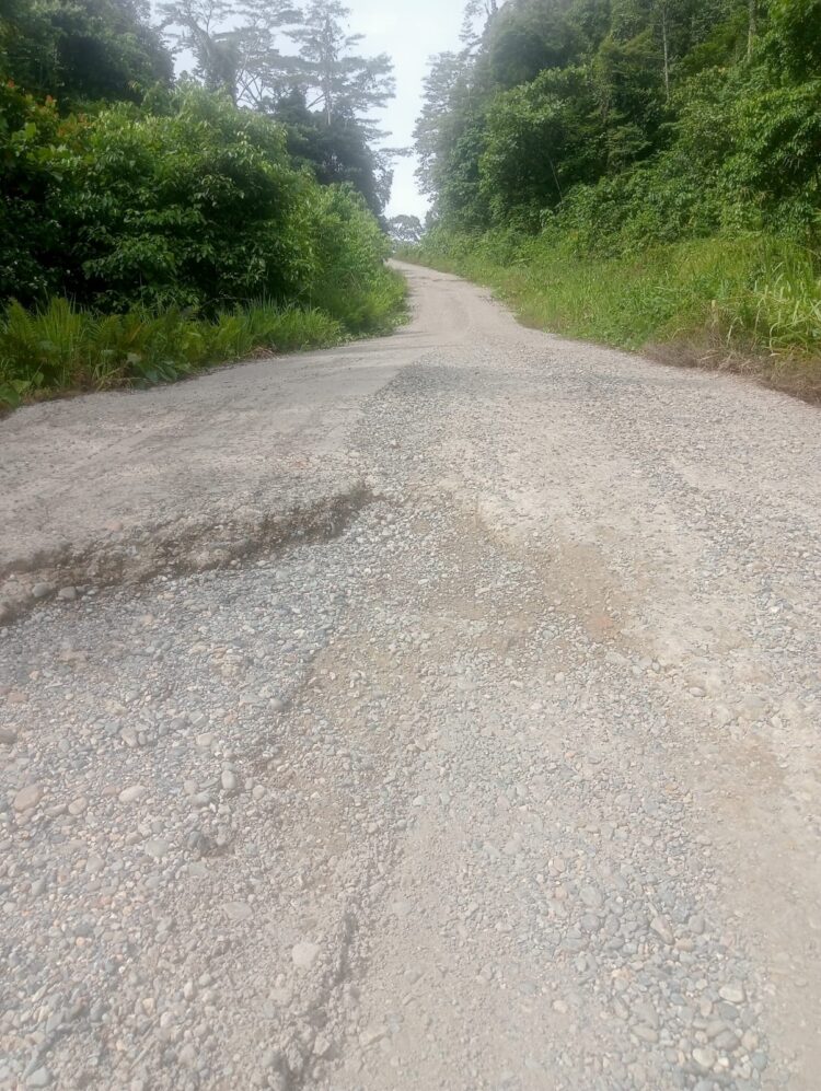 Jalan Mogoy-Merdey hingga saat ini dalam kondisi rusak berat - Jubi/IST