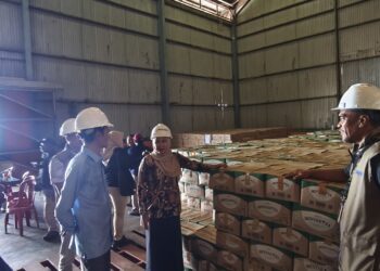 Anggota DPD RI