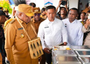Gubernur Papua