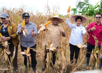 Jagung